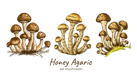 Similar image 22302978