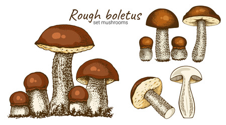 Similar image 22302982