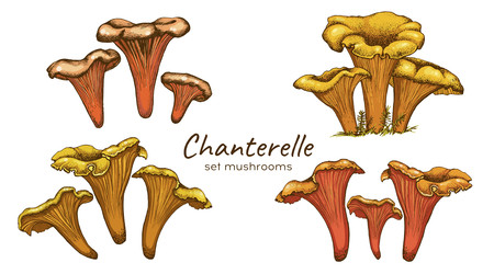 Similar image 22302984