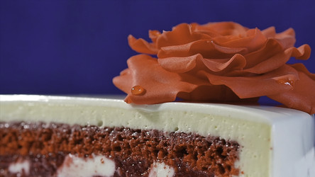 Similar image 22314409