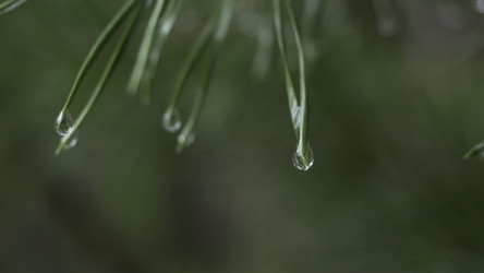 Similar image 22314411