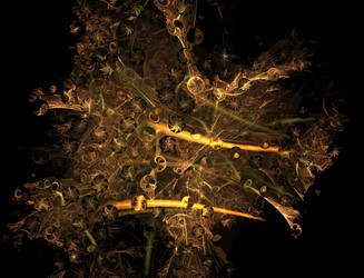 Similar image 22320451