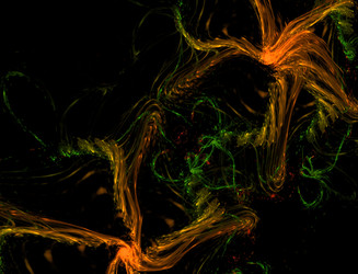 Similar image 22320615