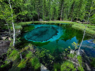 Similar image 22301108