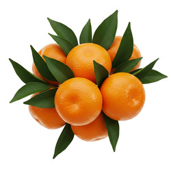 Similar image 22296412