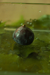 Similar image 22314812