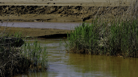 Similar image 22315667