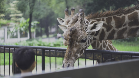 Similar image 22315674