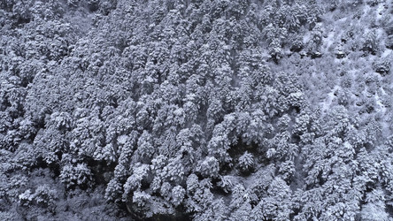 Similar image 22316012