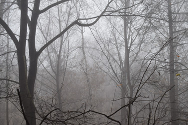 Similar image 22296819