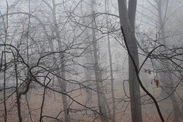 Similar image 22296821