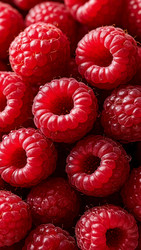 Similar image 22308730