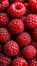 Similar image 22317045