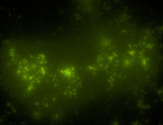 Similar image 22320851