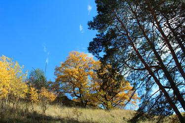 Similar image 22314814