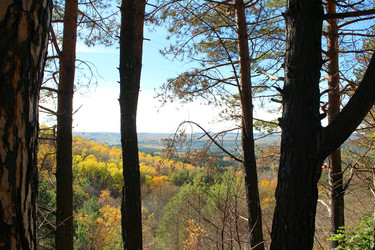 Similar image 22301019