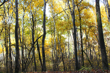 Similar image 22314817