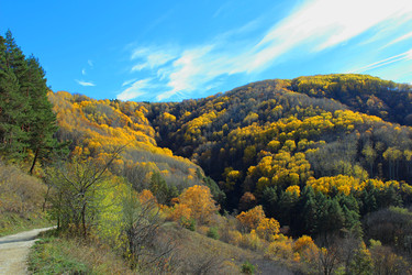 Similar image 22314819