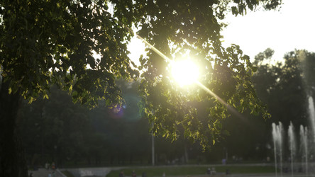 Similar image 22314266