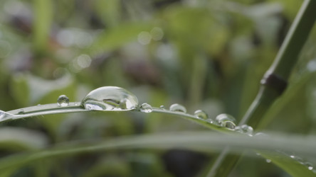 Similar image 22315684