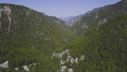 Similar image 22315702