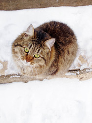 Similar image 22298132