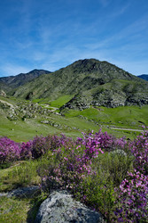 Similar image 22301283