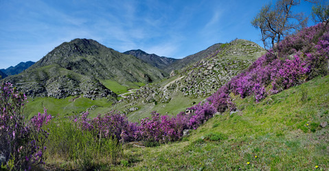 Similar image 22301284