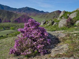 Similar image 22301285