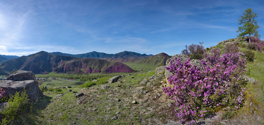 Similar image 22301287