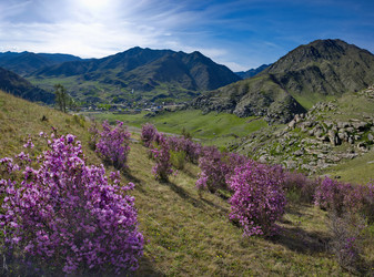 Similar image 22301290