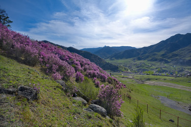 Similar image 22301293