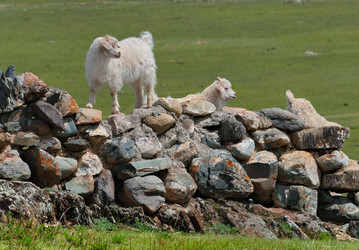 Similar image 22301294