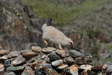 Similar image 22301295