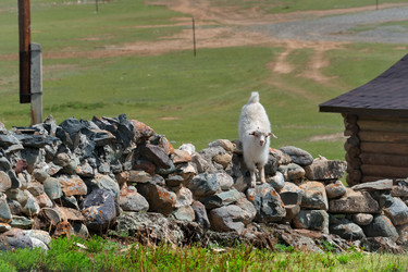 Similar image 22301297