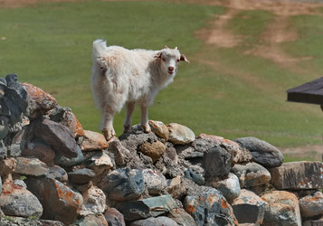 Similar image 22301298