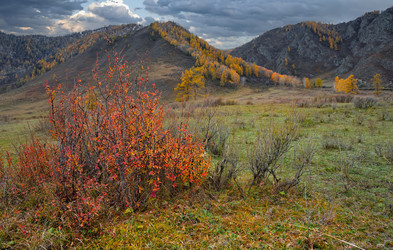 Similar image 22301300