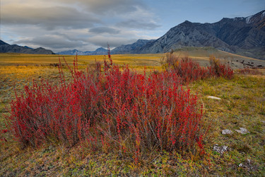 Similar image 22301301