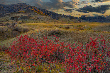 Similar image 22301302