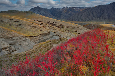 Similar image 22301304