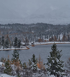 Similar image 22301309