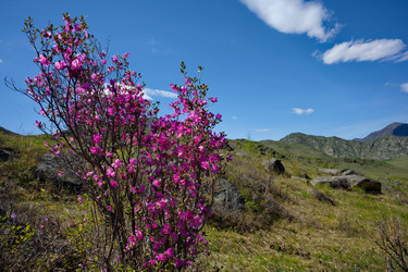 Similar image 22301312