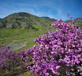 Similar image 22301313