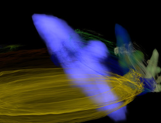 Similar image 22320455