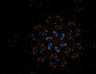 Similar image 22320458