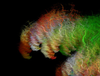 Similar image 22320620