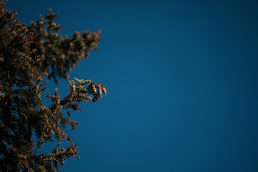 Similar image 22301021