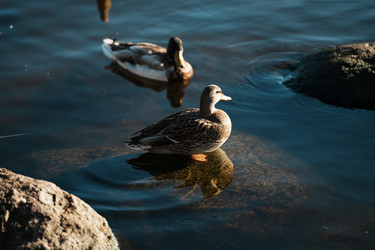 Similar image 22301023