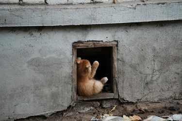 Similar image 22301025