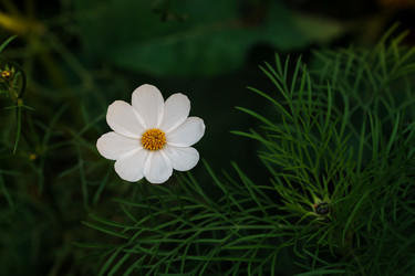 Similar image 22301026